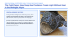 Chemistry in Biology Scaffolded Phenomena-Based Lesson: Deep Sea Bioluminescence Presentation sample page