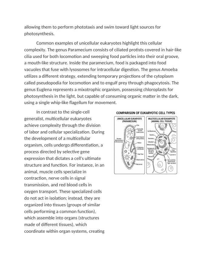 Comparing Multicellular and Unicellular Eukaryotes Reading Worksheet sample page