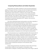 Comparing Photosynthesis and Cellular Respiration Reading Worksheet sample page