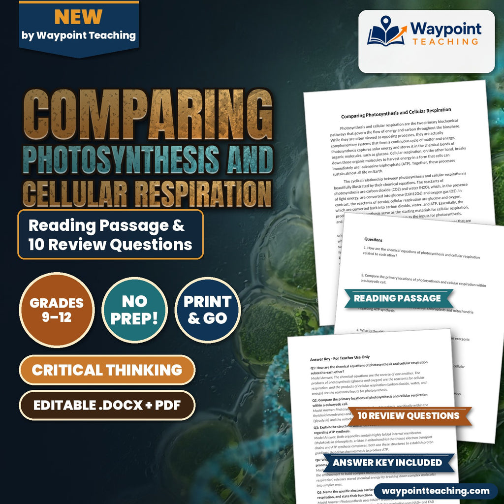 Comparing Photosynthesis and Cellular Respiration Reading Worksheet cover