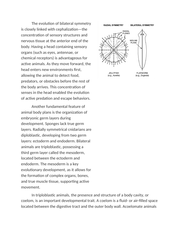 Comparing Symmetry and Body Plans Reading Worksheet sample page