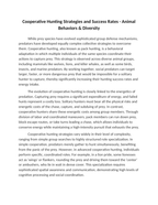 Cooperative Hunting Strategies and Success Rates Reading Worksheet sample page