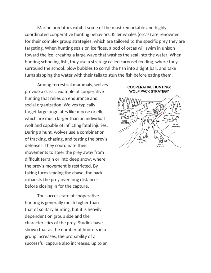 Cooperative Hunting Strategies and Success Rates Reading Worksheet sample page