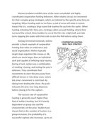 Cooperative Hunting Strategies and Success Rates Reading Worksheet sample page