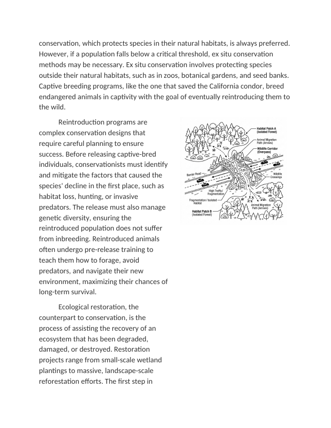 Designing Strategies for Conservation and Restoration Reading Worksheet sample page