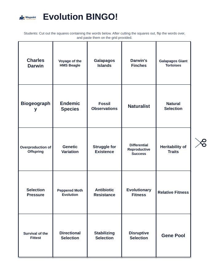 Evolution BINGO Review Game sample page