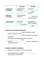 Evolution Guided Notes sample page