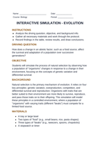 Evolution Interactive Simulation sample page