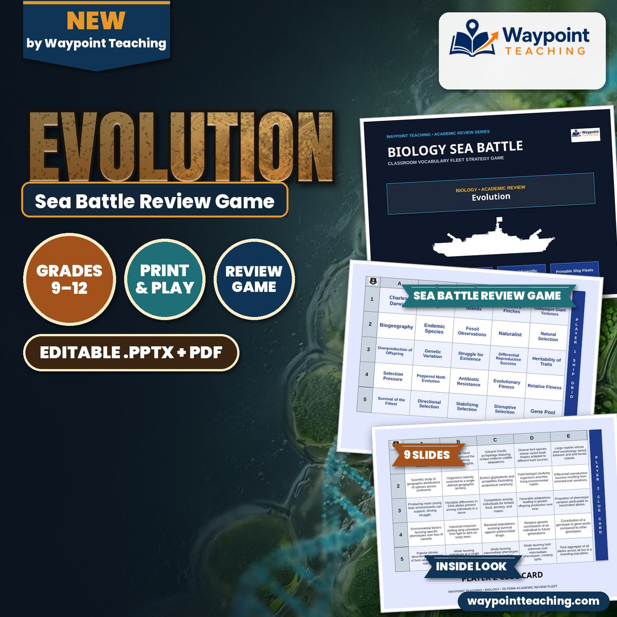 Evolution Sea Battle Review Game cover