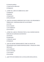 Evolution Spanish Unit Test sample page