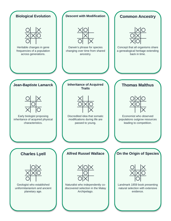 Evolution Tic-Tac-Toe Review Game sample page