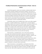 Feedback Mechanisms and Homeostasis in Plants Reading Worksheet sample page