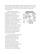 Feedback Mechanisms and Homeostasis in Plants Reading Worksheet sample page
