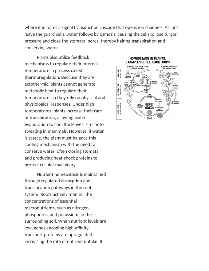 Feedback Mechanisms and Homeostasis in Plants Reading Worksheet sample page
