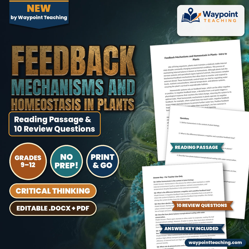 Feedback Mechanisms and Homeostasis in Plants Reading Worksheet cover