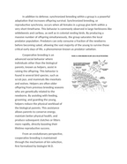 Group Behavior and Reproductive Success Reading Worksheet sample page