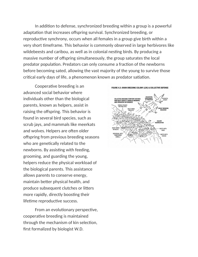 Group Behavior and Reproductive Success Reading Worksheet sample page