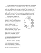 Heart Rate Response to Exercise and Homeostasis Reading Worksheet sample page