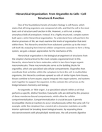 Hierarchical Organization: From Organelles to Cells Reading Worksheet sample page