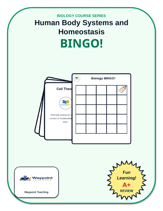 Human Body Systems BINGO Review Game sample page