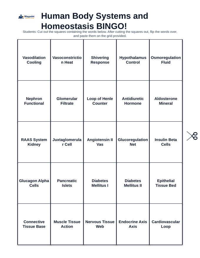 Human Body Systems BINGO Review Game sample page