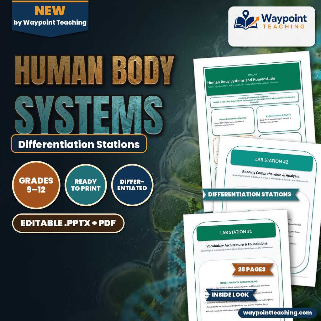 Human Body Systems Differentiation Stations cover