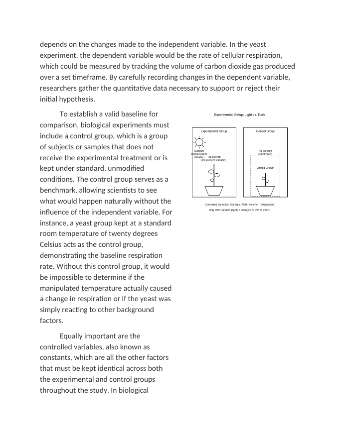 Identifying Variables and Controls Reading Worksheet sample page