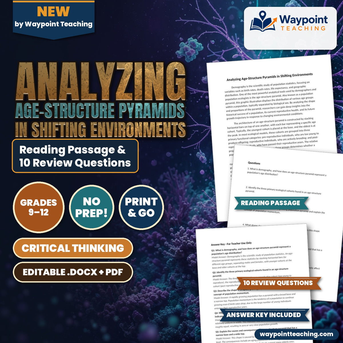 Analyzing Age-Structure Pyramids in Shifting Environments Reading Worksheet cover