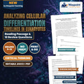Analyzing Cellular Differentiation Timelines in Eukaryotes Reading Worksheet cover