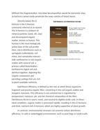 Analyzing Detritivore Efficiency in Soil Horizons Reading Worksheet sample page