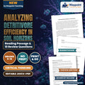 Analyzing Detritivore Efficiency in Soil Horizons Reading Worksheet cover