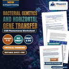 Bacterial Genetics and Horizontal Gene Transfer: Conjugation Plasmids, Transformation, Transduction, and Beta-Lactam Resistance CER Phenomena Worksheet cover