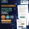 Biogeochemical Cycles Bell Ringers & Exit Tickets cover