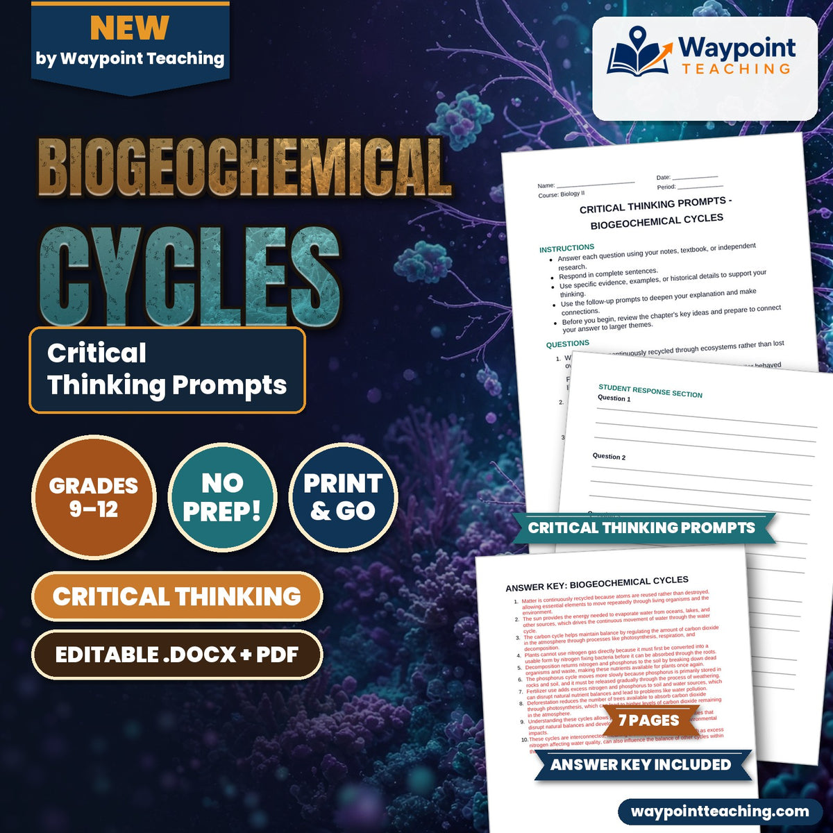 Biogeochemical Cycles Critical Thinking Prompts cover