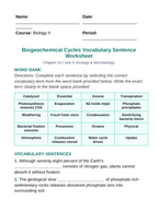 Biogeochemical Cycles Fill-in-the-Blank Vocabulary Worksheet sample page
