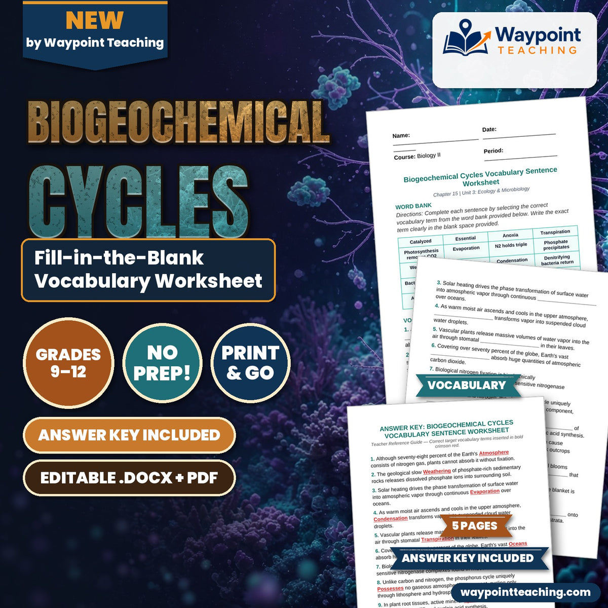 Biogeochemical Cycles Fill-in-the-Blank Vocabulary Worksheet cover