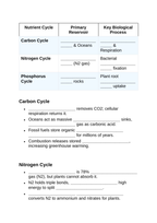 Biogeochemical Cycles Guided Notes sample page