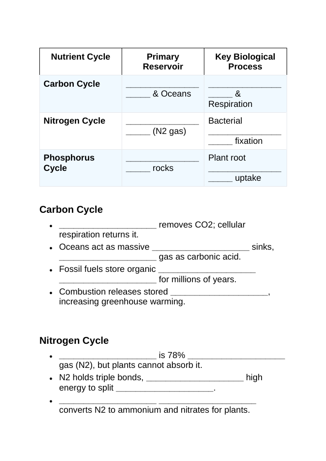 Biogeochemical Cycles Guided Notes sample page