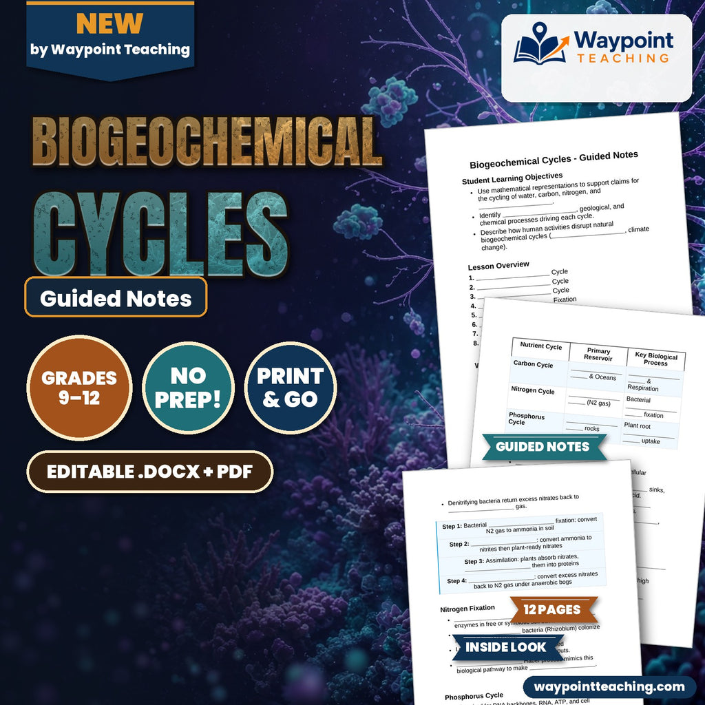 Biogeochemical Cycles Guided Notes cover