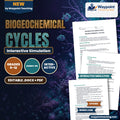 Biogeochemical Cycles Interactive Simulation cover
