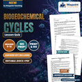 Biogeochemical Cycles Lesson Quiz cover