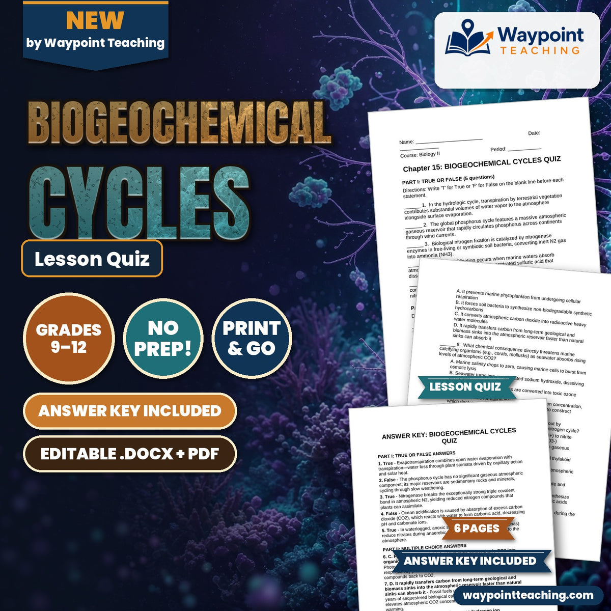 Biogeochemical Cycles Lesson Quiz cover