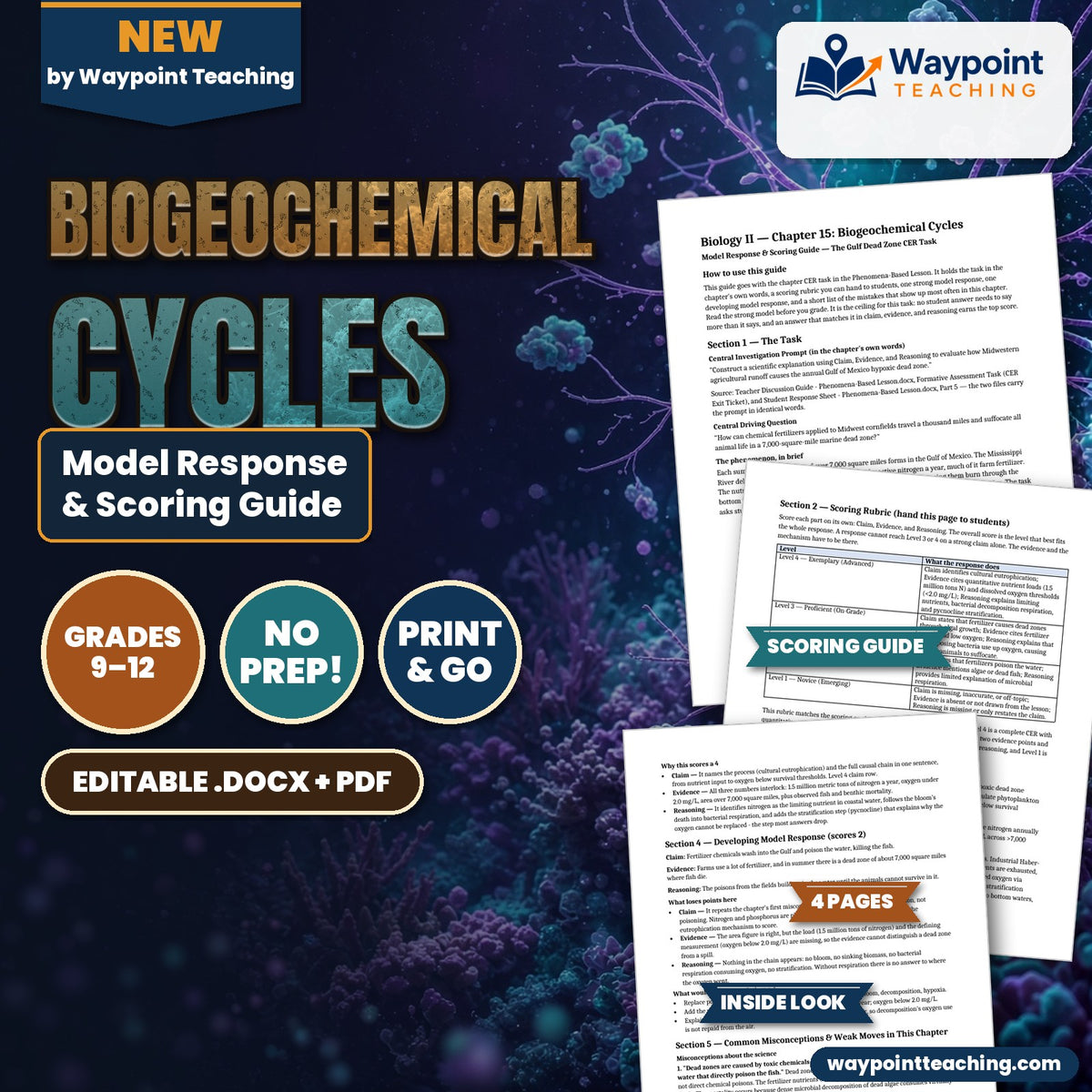 Biogeochemical Cycles Model Response & Scoring Guide cover
