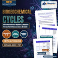 Biogeochemical Cycles Phenomena-Based Lesson: The Suffocating Sea: The 7,000-Square-Mile Gulf of Mexico Dead Zone Teacher Discussion Guide cover