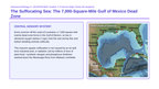 Biogeochemical Cycles Scaffolded Phenomena-Based Lesson: The Suffocating Sea: The 7,000-Square-Mile Gulf of Mexico Dead Zone Presentation sample page