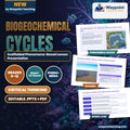 Biogeochemical Cycles Scaffolded Phenomena-Based Lesson: The Suffocating Sea: The 7,000-Square-Mile Gulf of Mexico Dead Zone Presentation cover