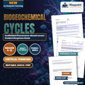 Biogeochemical Cycles Scaffolded Phenomena-Based Lesson: The Suffocating Sea: The 7,000-Square-Mile Gulf of Mexico Dead Zone Student Response Sheet cover