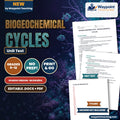 Biogeochemical Cycles Spanish Unit Test cover