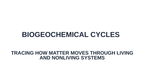 Biogeochemical Cycles Substitute Slideshow & Teacher Guide sample page