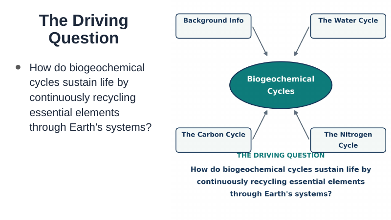 Biogeochemical Cycles Substitute Slideshow & Teacher Guide sample page